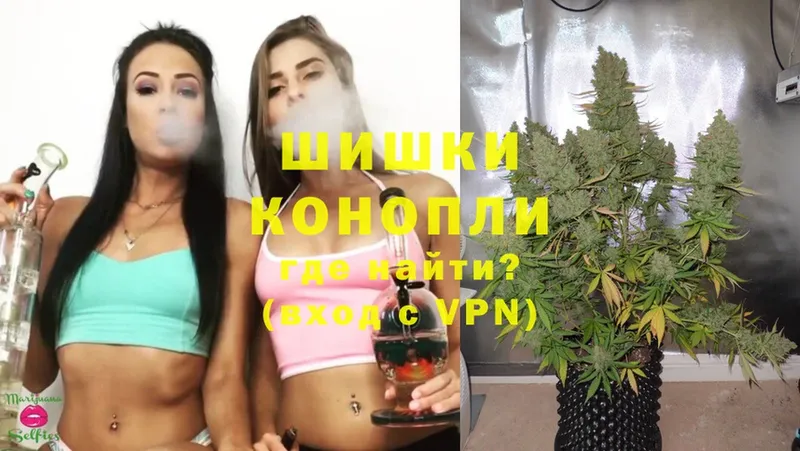 Бошки Шишки White Widow  наркотики  Мурино 